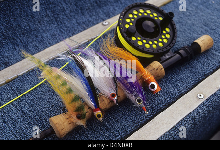 Peacock bass  brazil fly hi-res stock photography and images - Alamy