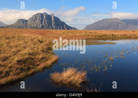 Boggy upland and Bogbean (Menyanthes trifoliata) in pool of water with Mt Tryfan mountain east face beyond in Snowdonia Wales UK Stock Photo