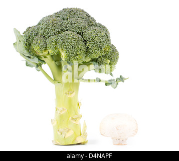 Fresh broccoli and a mushroom standing on white background Stock Photo