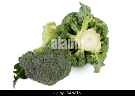 Two heads of fresh green broccoli with one orientated with the stalk towards the camera and the other with the delicious firm flower head. Stock Photo