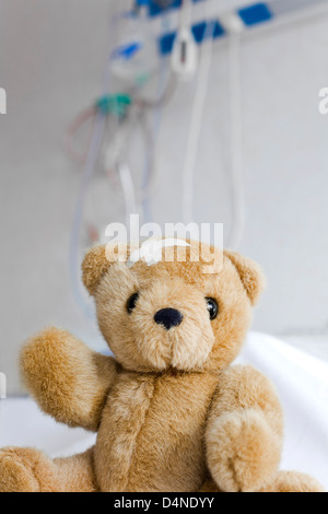 Injured teddy bear with Adhesive Bandage in his head. Stock Photo