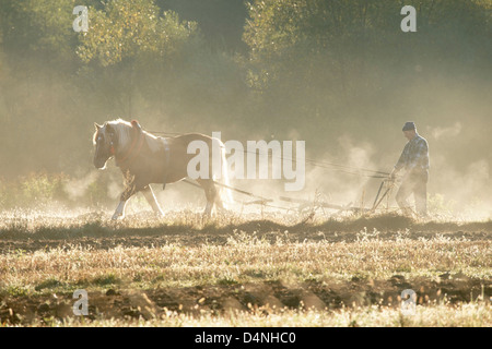 Farmer with horse and plough, Sromowce Nizne, Malopolska, Poland. Stock Photo