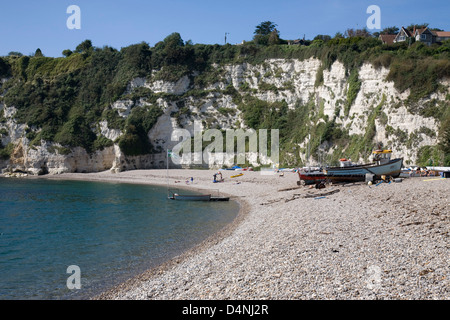 Beer beach in Devon, England. Stock Photo