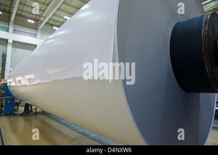 Dörpen, Germany, giant paper roll at Nordland Papier Stock Photo