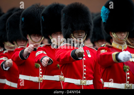 Irish Guards, serving in the British Army on parade in Aldershot 17/3/13 Stock Photo