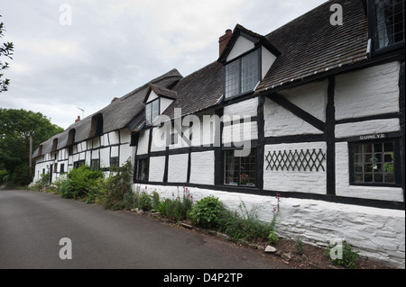 Typically British well maintained homes thatched straw terraced cottages with whitewash rendered walls between oak frame Stock Photo