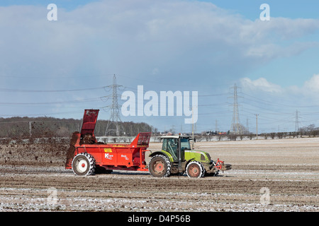 Farmer muck spreading a field in snow Stock Photo