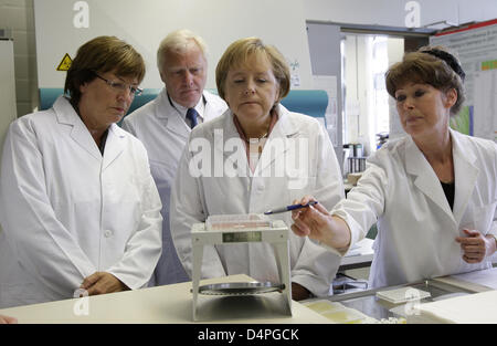 German Health Minister Ulla Schmidt (L) and Chancellor Angela Merkel (C) look at samples of inactive A/H1N1 new flu virus during a visit at the Robert Koch scientific institute in Berlin, Germany 23 June 2009. Photo: TOBIAS SCHWARZ Stock Photo