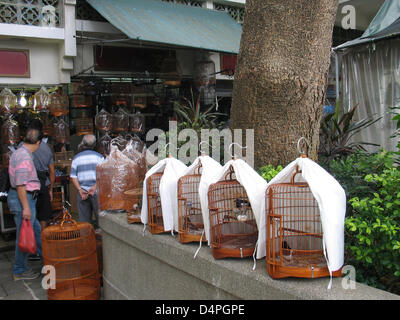 (file) - The file picture dated 25 October 2008 shows the bird market in the district Kowloon in Hong Kong, China. The market is very popular and a meeting point for bird lovers. Photo: Frank Baumgart Stock Photo