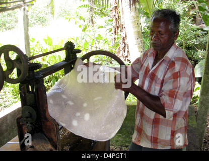 (dpa file) A file picture dated 29 February 2008 displays the process of making rubber in Bentota, Sri Lanka. Collected natural rubber is pressed, chemicals are added to bring it in form. Photo: Rolf Haid Stock Photo