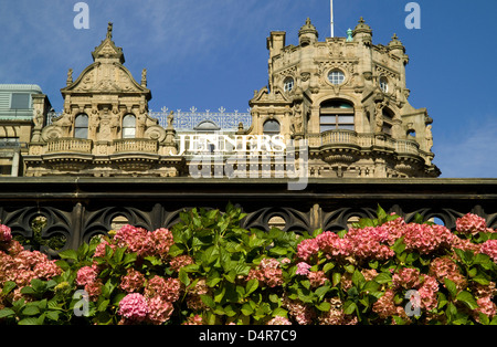 detail of hyrangeas infront of elaborate jenners facade on princes st Stock Photo