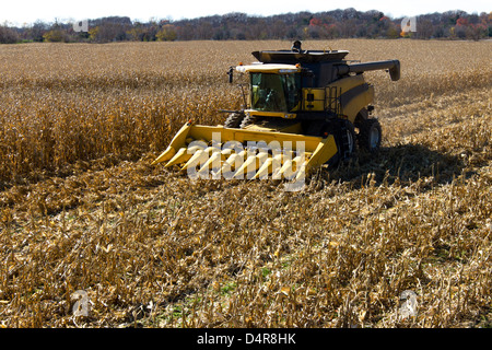 End of the summer, corn harvesting started. Stock Photo