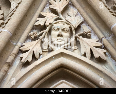 Carving of a Green Man in the Chapter House of Southwell Minster, Southwell, Nottinghamshire, East Midlands, UK Stock Photo