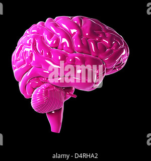 Glossy pink brain Stock Photo