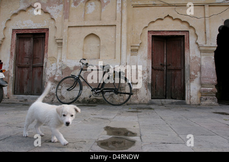 Temple courtyard at Kankhal, a suburb of Haridwar. Stock Photo