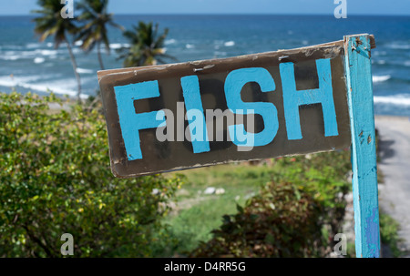 weathered wooden fish for sale sign near Bathsheba, Barbados, Caribbean, West Indies Stock Photo