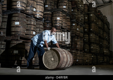 A distillery worker moving wooden barrels at the Mount Gay rum distillery in St Lucy Parish, Barbados, Caribbeanv Stock Photo