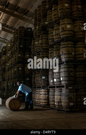 A distillery worker moving wooden barrels at the Mount Gay rum distillery in St Lucy Parish, Barbados, Caribbean Stock Photo