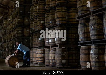 A distillery worker moving wooden barrels at the Mount Gay rum distillery in St Lucy Parish, Barbados, Caribbean Stock Photo