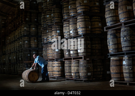 A distillery worker moving wooden barrels at the Mount Gay rum distillery in St Lucy Parish, Barbados, Caribbean Stock Photo