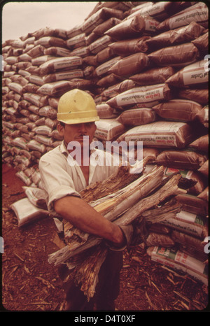 Hat Shellac Photograph of a hat factory worker in Britain, 1940, spreading shellac ...
