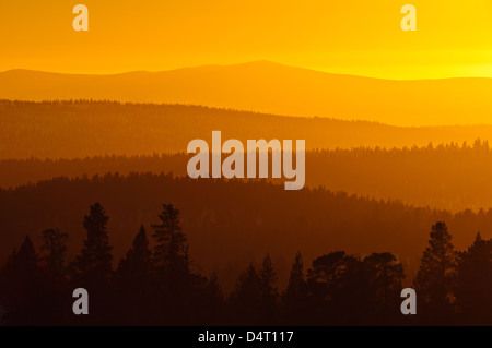 Sunset over forests in silhouette, Valdalsfjellet, Hedmark fylke, Norway, Europe Stock Photo