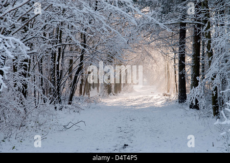 Snow in UK fields bright sunshine Stock Photo