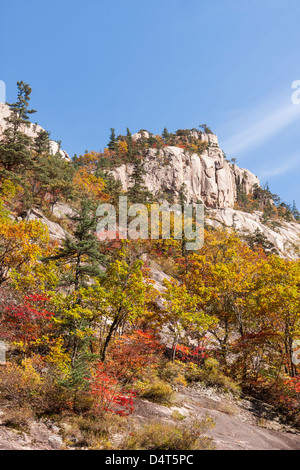 Cheonbuldong Valley cliffs and Fall colors, Seoraksan National Park, South Korea Stock Photo