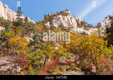 Cheonbuldong Valley cliffs and Fall colors, Seoraksan National Park, South Korea Stock Photo