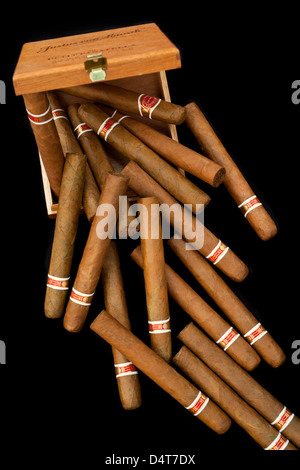 Cuban cigars out of the box Stock Photo
