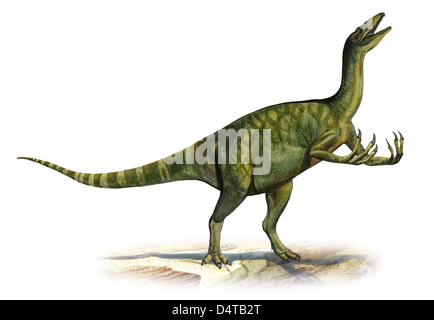 Deinocheirus Images – Browse 73 Stock Photos, Vectors, and Video