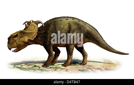 Pachyrhinosaurus canadensis, a prehistoric era dinosaur from the Late Cretaceous period.