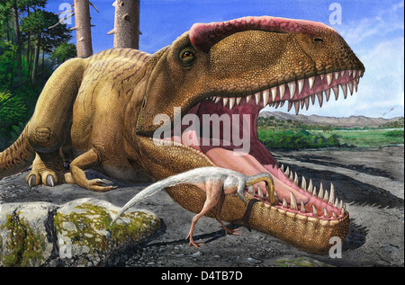 An Alvarezsaurid bird cleans the mouth of a Giganotosaurus carolinii dinosaur. Stock Photo