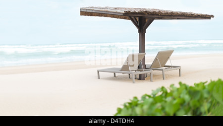 Panoramic view of two empty chaise longues under wooden shed on beach with blue ocean waves in background and some green in fore Stock Photo