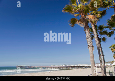Palmtrees on Pacific Beach and the Crystal Pier Hotel on Stilts over the ocean in San Diego, California, Stock Photo