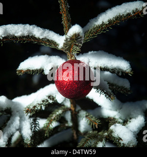 Christmas ornament on snowy tree Stock Photo