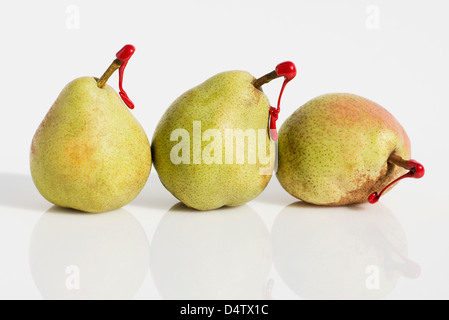 Pears with red tags on stems Stock Photo