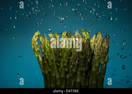 Close up of water splashing on asparagus Stock Photo