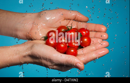 Handful of tomatoes under shower Stock Photo