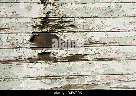 Painted peeling wooden panels Stock Photo