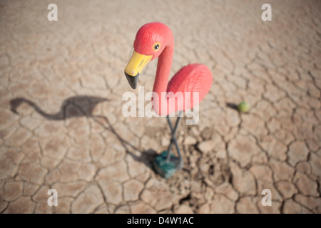 Close up of flamingo statue in desert Stock Photo