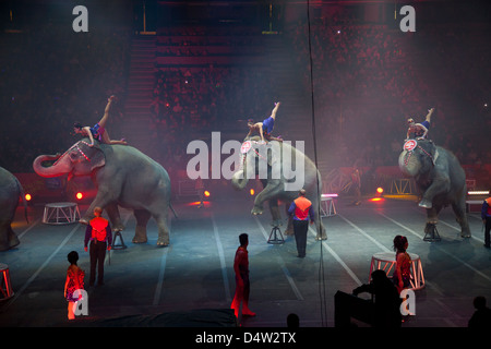Ringling Bros and Barnum Bailey circus elephants Stock Photo