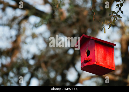 Birdhouse hanging from tree Stock Photo