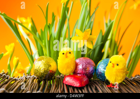 Easter Chicks and Eggs Stock Photo