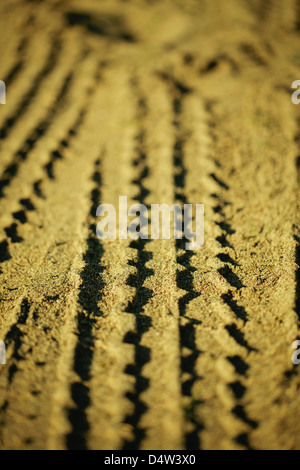 Close up of tire tracks in sand Stock Photo