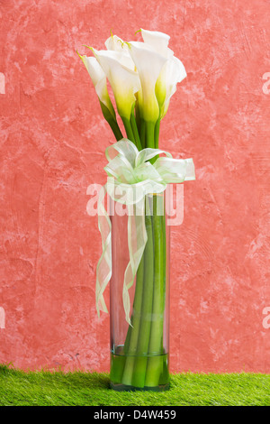 White Calla Lily in glass vase with bow tie Stock Photo