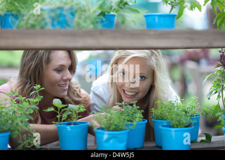 Woman shopping for plants in nursery Stock Photo