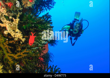 Diver swimming in coral reef Stock Photo