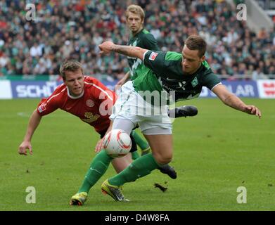 Bremen's Marko Arnautovic (R) and Radoslav Zabavnik (L) of Mainz vie for the ball during German Bundesliga match Werder Bremen vs FSV Mainz 05 at Weser stadium in Bremen, Germany, 18 September 2010. Photo: CARMEN JASPERSEN  (ATTENTION: EMBARGO CONDITIONS! The DFL permits the further utilisation of the pictures in IPTV, mobile services and other new technologies only no earlier than Stock Photo