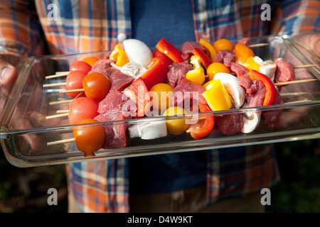 Tray of raw kebabs for grill Stock Photo